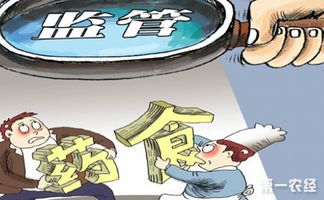 规范网络食品经营行为，支持互联网食品安全有序发展